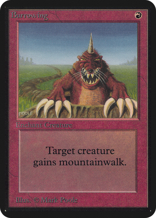 Burrowing (LEA-) - Limited Edition Alpha