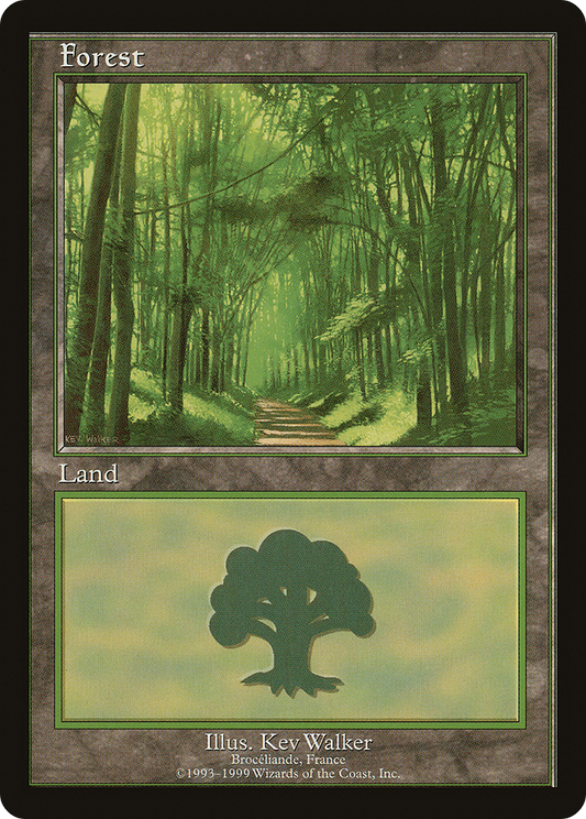 Forest (PELP-006) - European Land Program