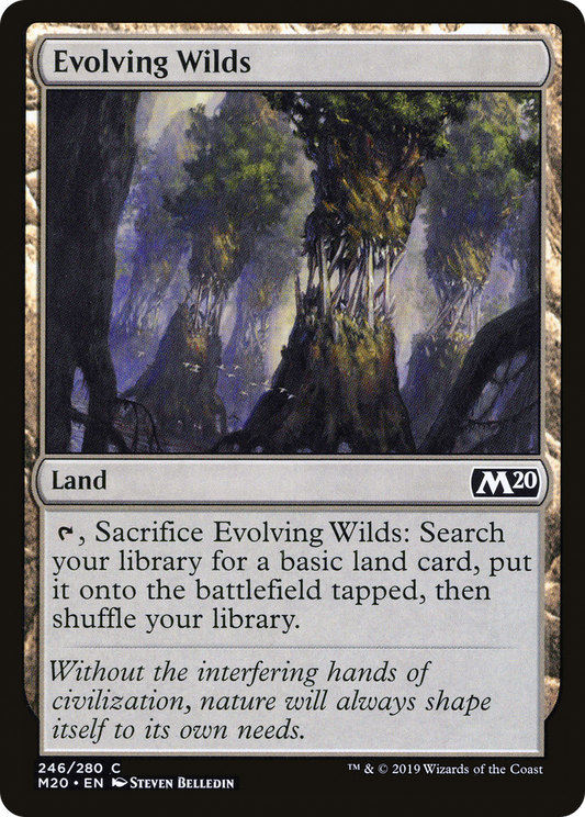 Evolving Wilds (M20-246) - Core Set 2020 Foil