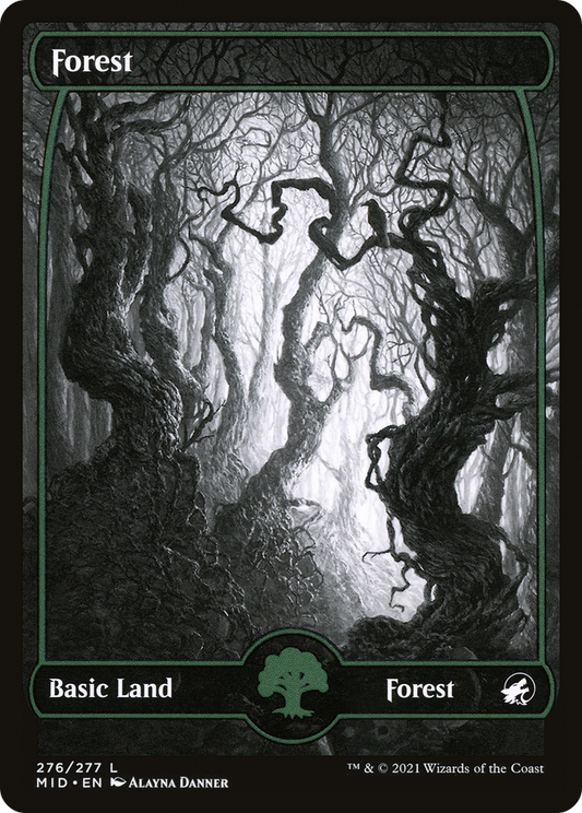 Forest (MID-276) - Innistrad: Midnight Hunt: (Full Art, Showcase)