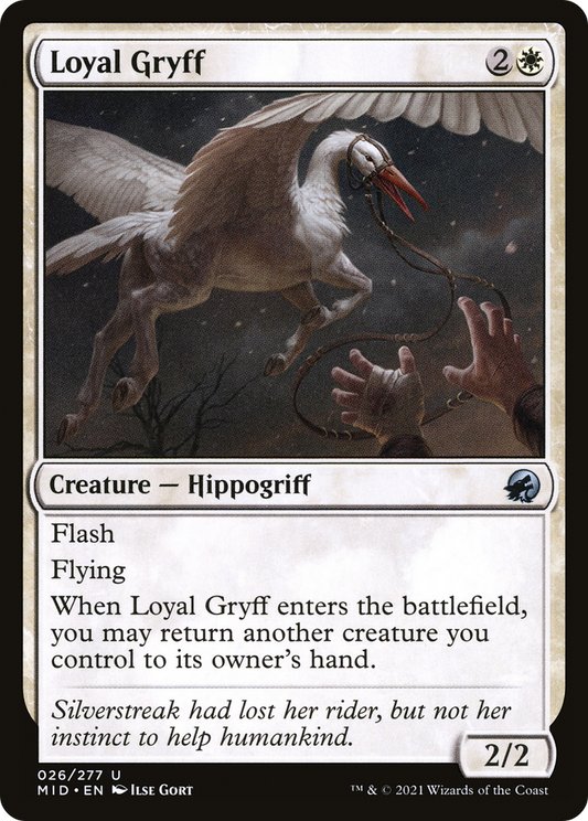 Loyal Gryff (MID-026) - Innistrad: Midnight Hunt