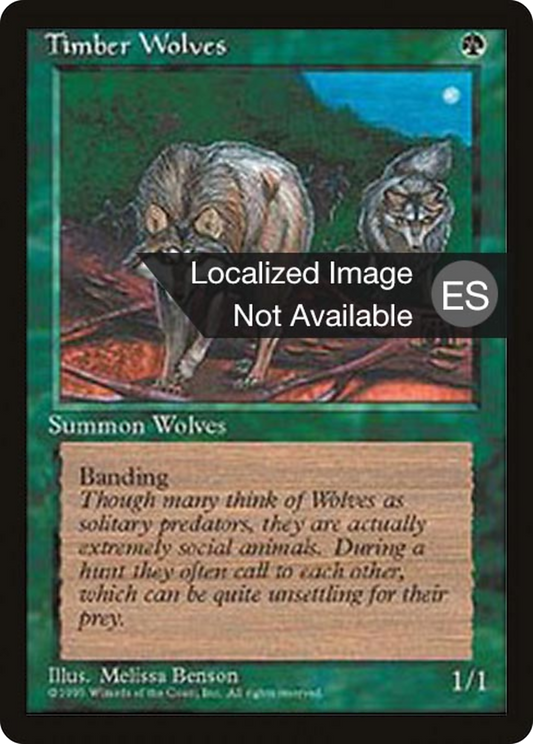 Timber Wolves (4BB-275) - Fourth Edition Foreign Black Border