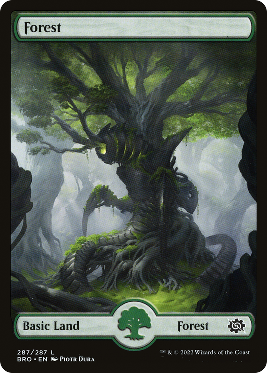 Forest (BRO-287) - The Brothers' War