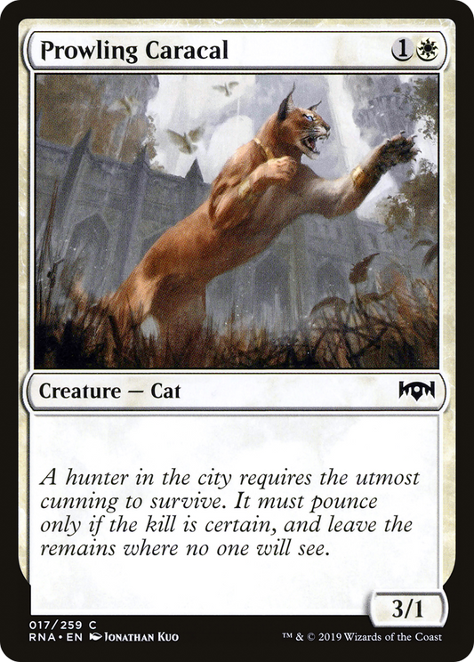 Prowling Caracal (RNA-017) - Ravnica Allegiance Foil