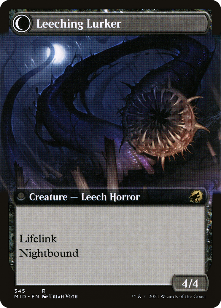 Curse of Leeches // Leeching Lurker (MID-345) - Innistrad: Midnight Hunt: (Extended Art, Double Faced Transform) Foil