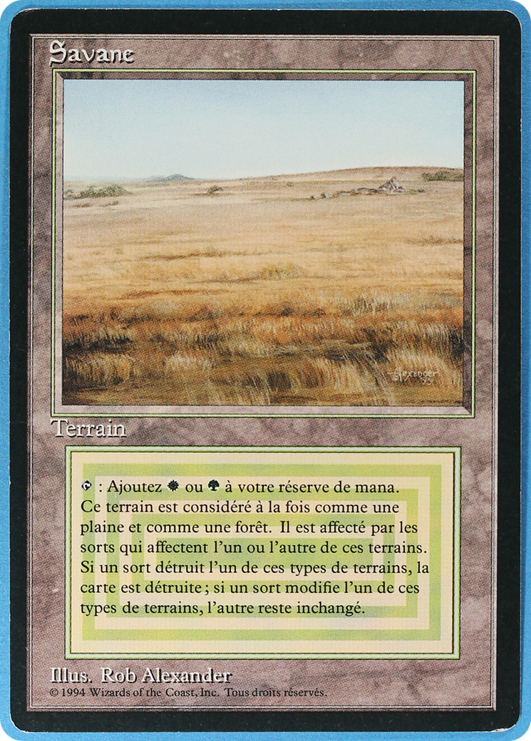 Savannah (FBB-285) - Foreign Black Border