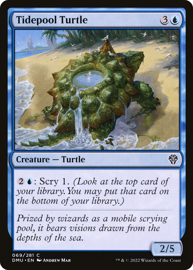 Tidepool Turtle (DMU-069) - Dominaria United Foil