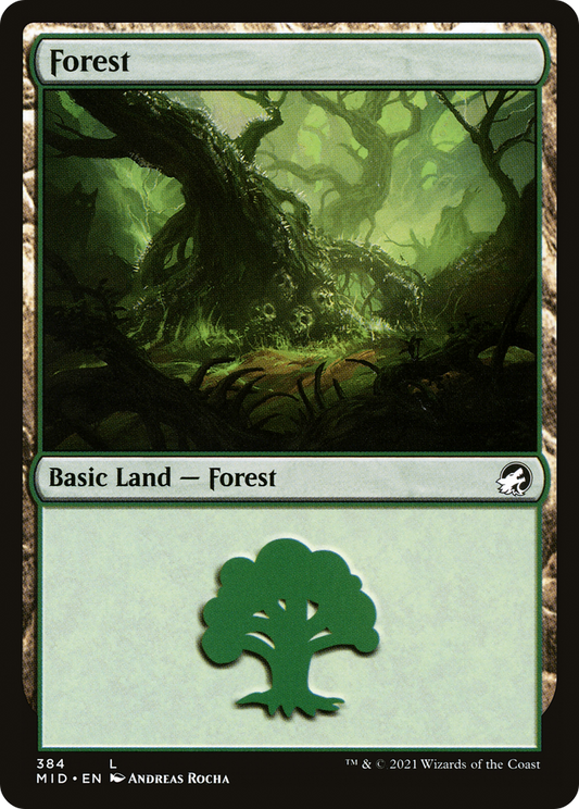 Forest (MID-384) - Innistrad: Midnight Hunt