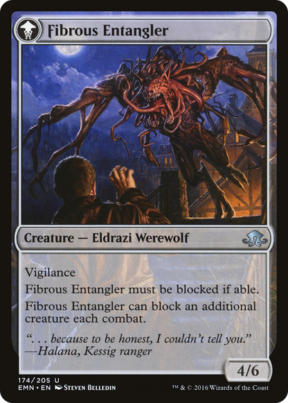 Tangleclaw Werewolf // Fibrous Entangler (EMN-174) - Eldritch Moon: (mooneldrazidfc)