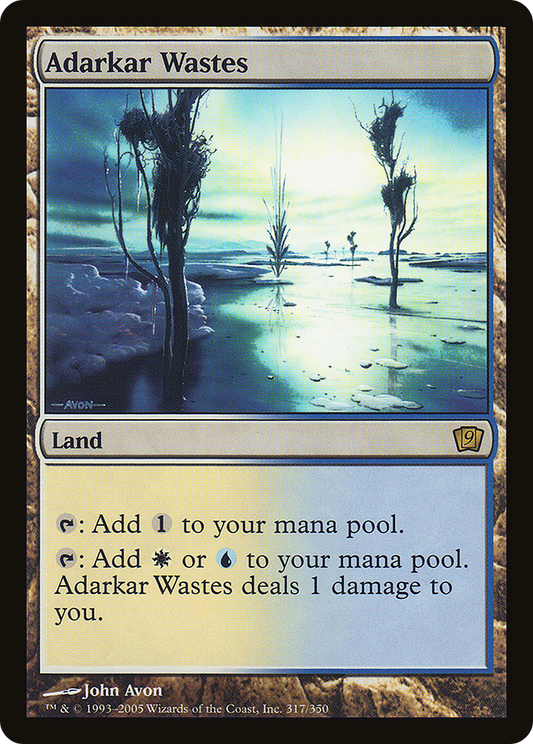 Adarkar Wastes (9ED-317★) - Ninth Edition Foil