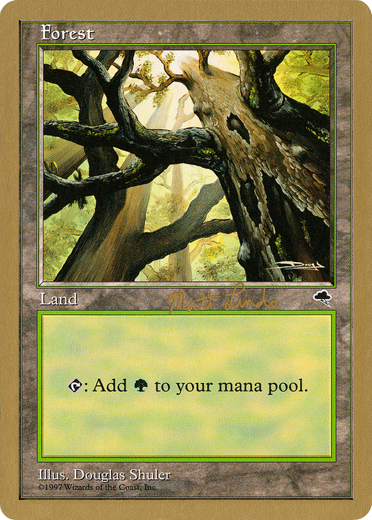 Forest (WC99-ML347A) - World Championship Decks 1999