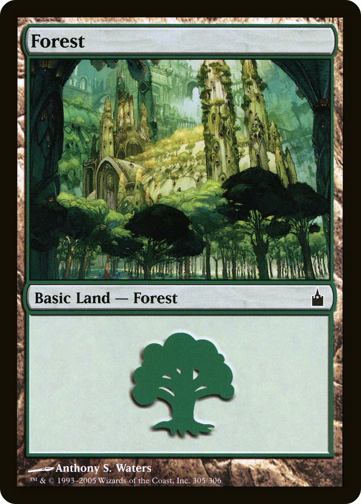 Forest (RAV-305) - Ravnica: City of Guilds Foil