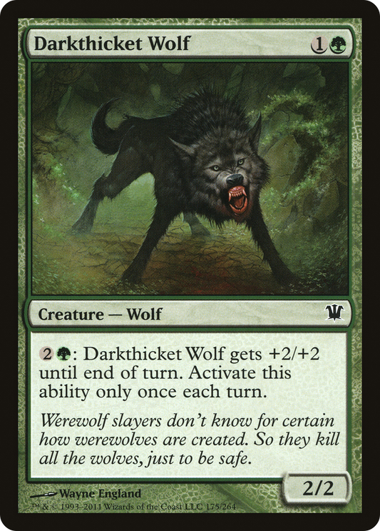 Darkthicket Wolf (ISD-175) - Innistrad Foil